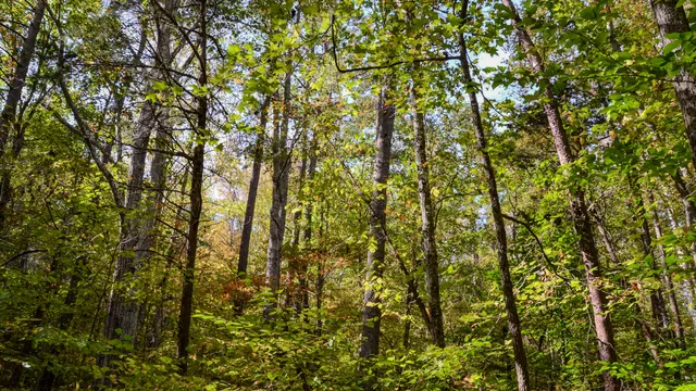 $1,345,836 | 0 Rocky Branch Road, Gaffney, SC 29340