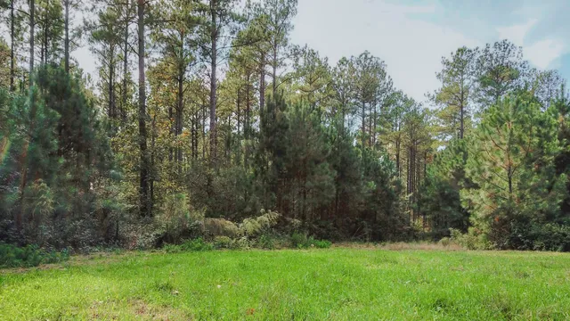 $1,345,836 | 0 Rocky Branch Road, Gaffney, SC 29340