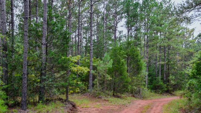 $1,345,836 | 0 Rocky Branch Road, Gaffney, SC 29340