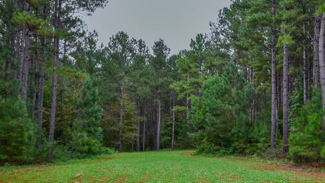 $1,345,836 | 0 Rocky Branch Road, Gaffney, SC 29340