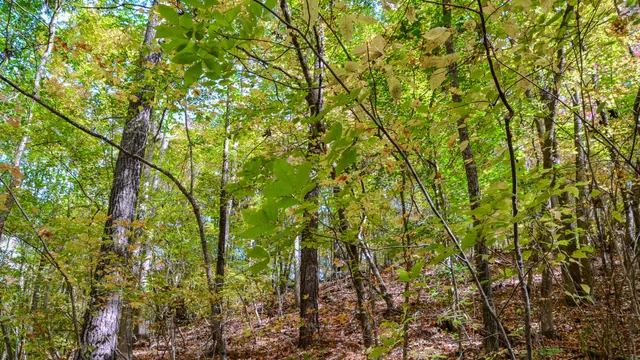 $1,345,836 | 0 Rocky Branch Road, Gaffney, SC 29340