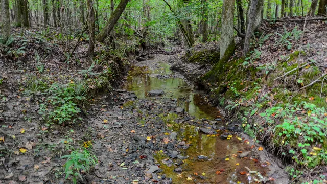 $1,345,836 | 0 Rocky Branch Road, Gaffney, SC 29340