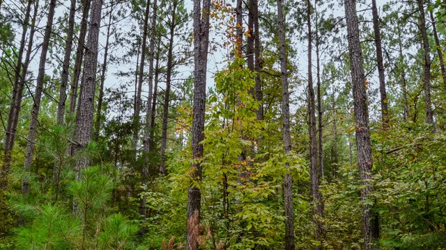 $1,345,836 | 0 Rocky Branch Road, Gaffney, SC 29340