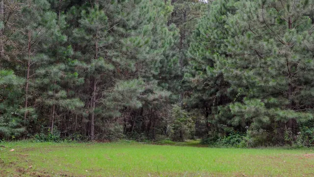 $1,345,836 | 0 Rocky Branch Road, Gaffney, SC 29340