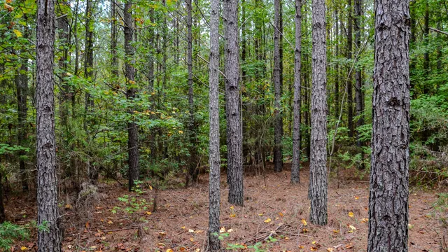 $1,345,836 | 0 Rocky Branch Road, Gaffney, SC 29340