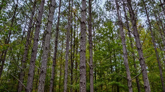 $1,345,836 | 0 Rocky Branch Road, Gaffney, SC 29340