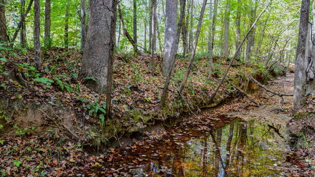 $1,345,836 | 0 Rocky Branch Road, Gaffney, SC 29340