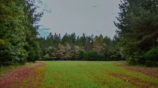 $1,345,836 | 0 Rocky Branch Road, Gaffney, SC 29340