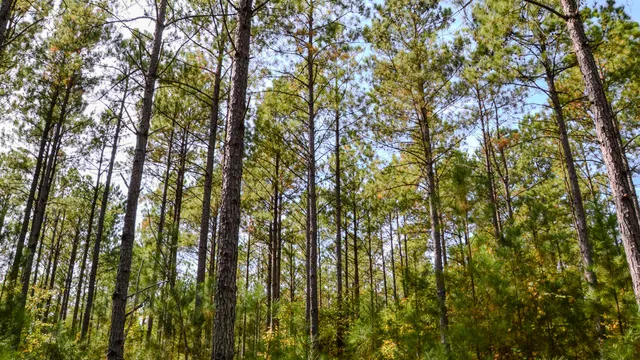 $1,345,836 | 0 Rocky Branch Road, Gaffney, SC 29340