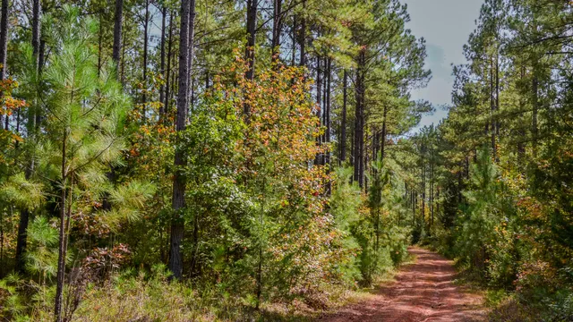 $1,345,836 | 0 Rocky Branch Road, Gaffney, SC 29340