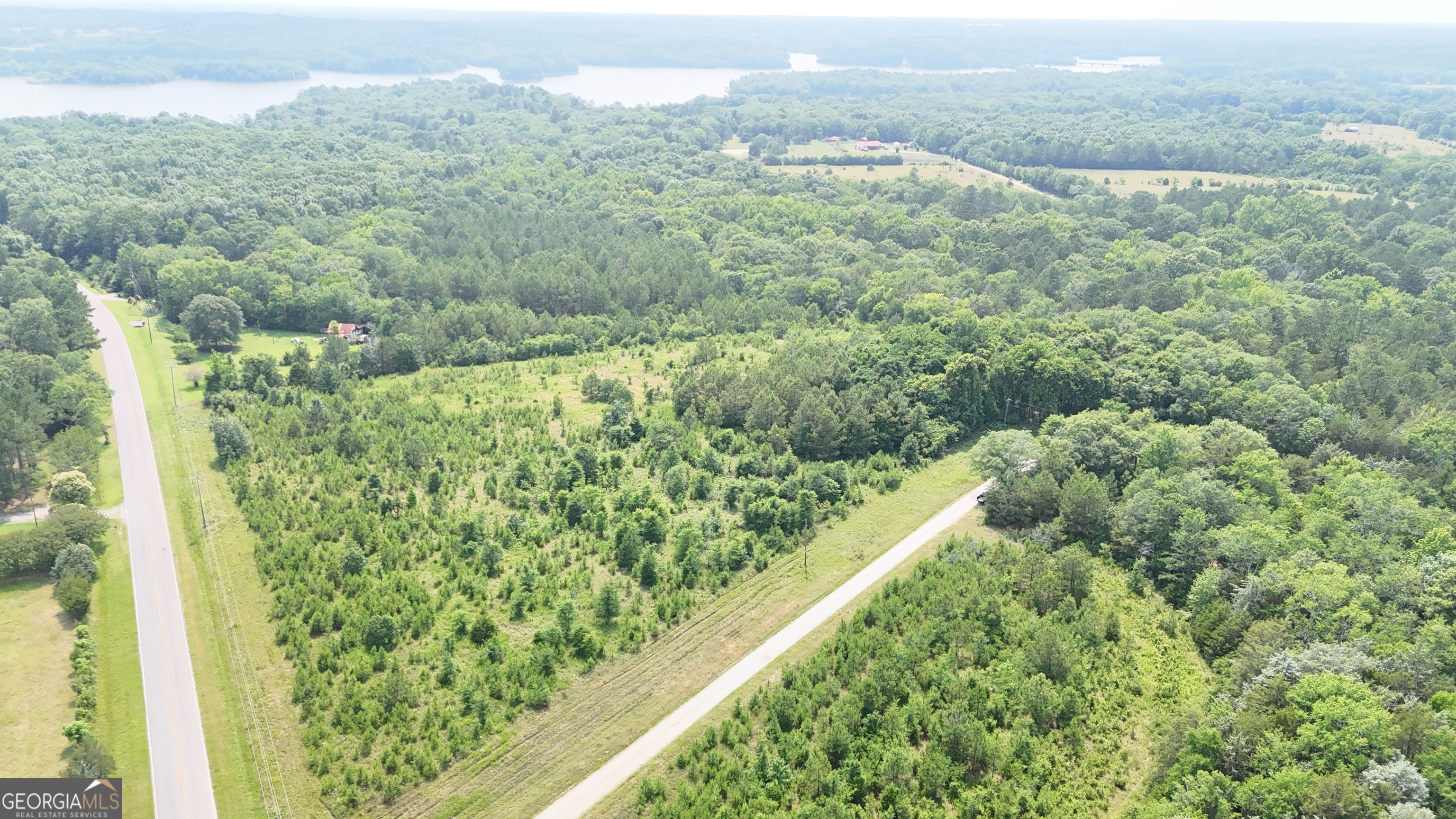 0 Pearl Mill Road Elberton, GA 30635 - Photo 8 of 27