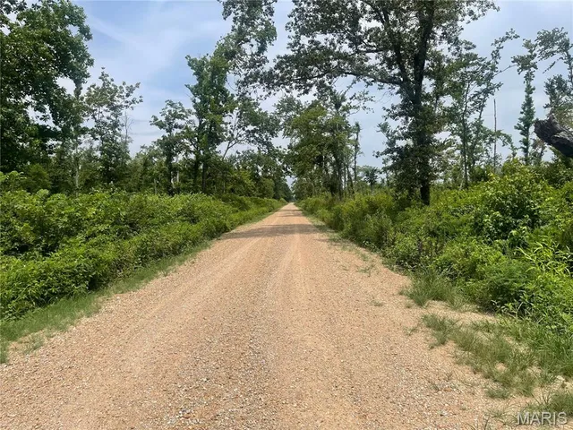 $169,900 | 0 County Road 315, Poplar Bluff, MO 63901