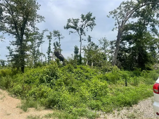 $169,900 | 0 County Road 315, Poplar Bluff, MO 63901