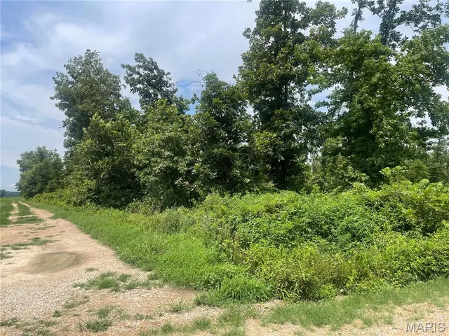 $169,900 | 0 County Road 315, Poplar Bluff, MO 63901