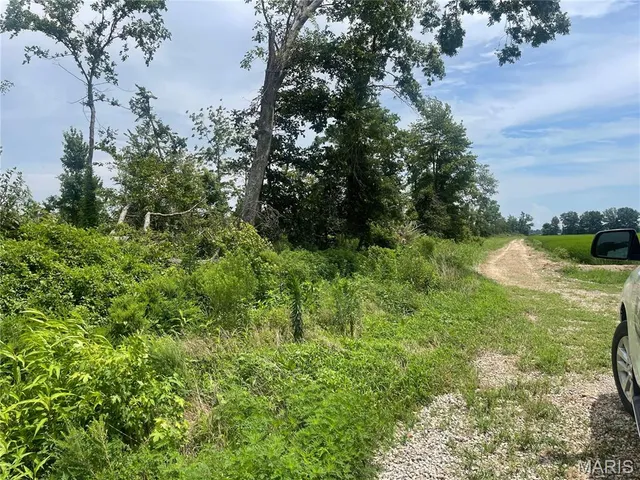 $169,900 | 0 County Road 315, Poplar Bluff, MO 63901