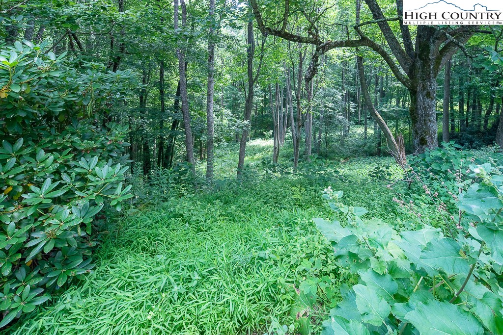 2691 Poplar Grove Road South, Unit 4 Boone, NC 28607 - Photo 4 of 50 Gallery Image 4