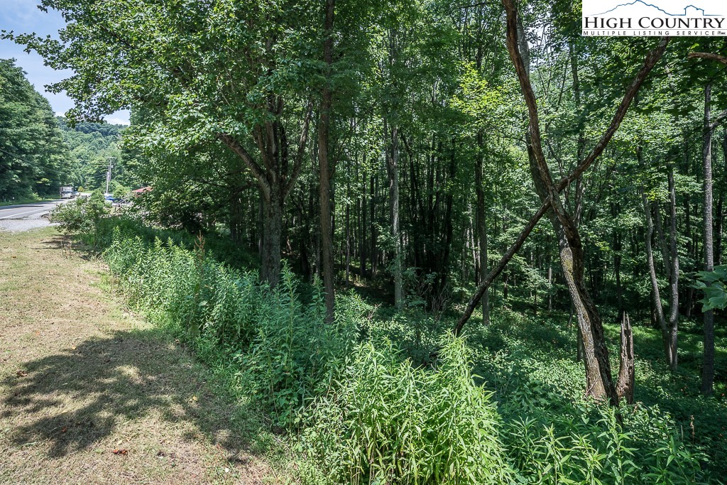 2691 Poplar Grove Road South, Unit 4 Boone, NC 28607 - Photo 5 of 50 Gallery Image 5