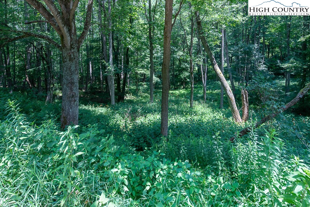 2691 Poplar Grove Road South, Unit 4 Boone, NC 28607 - Photo 6 of 50 Gallery Image 6