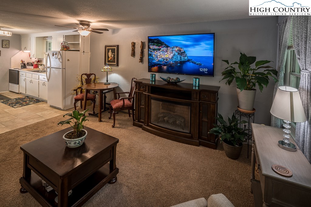 2691 Poplar Grove Road South, Unit 4 Boone, NC 28607 - Photo 8 of 50 Gallery Image 8