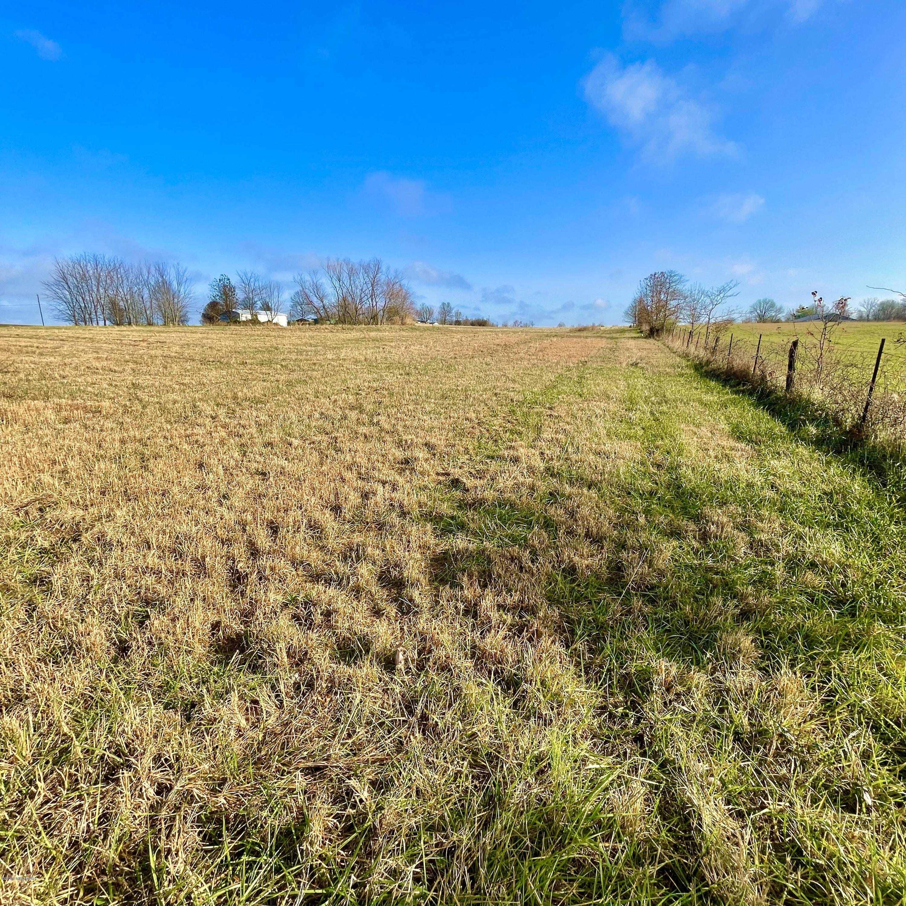 309 Tabbs Hollow Road Eastview, KY 42732 - Photo 22 of 32 IMG_0325