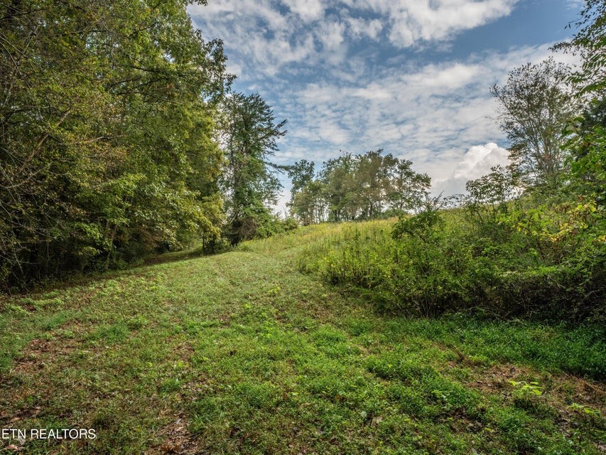 1079 York Road Crossville, TN 38555 - Photo 21 of 32 Gallery Image 21