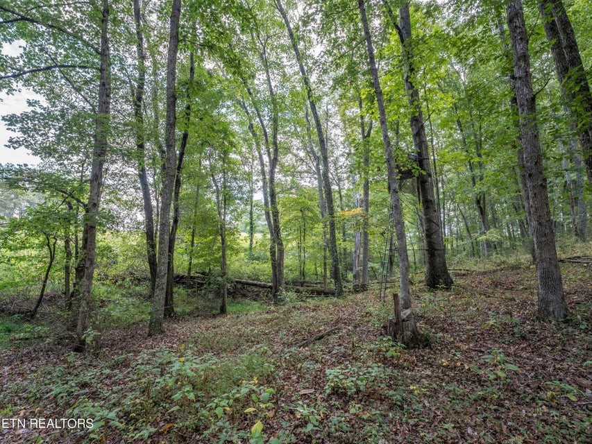 1079 York Road Crossville, TN 38555 - Photo 23 of 32 Gallery Image 23
