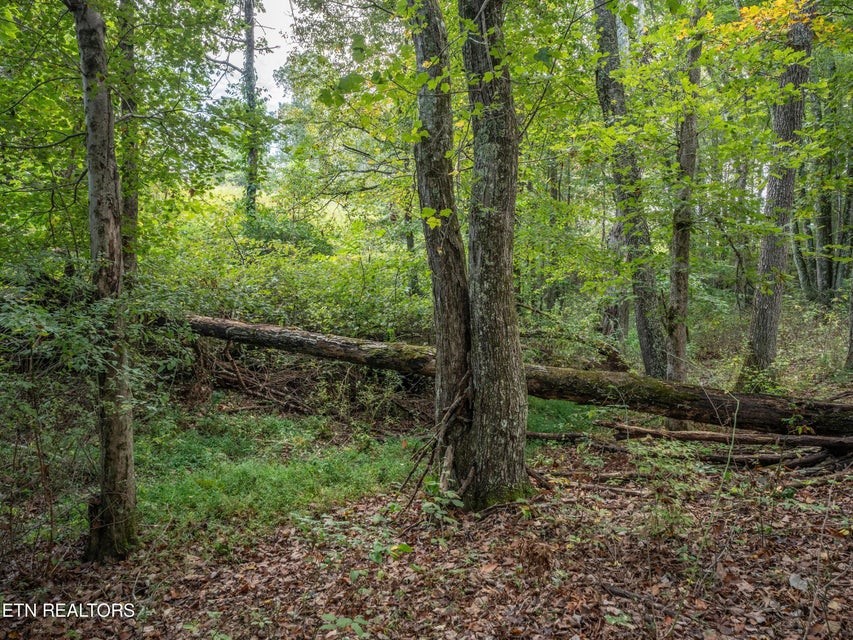 1079 York Road Crossville, TN 38555 - Photo 24 of 32 Gallery Image 24
