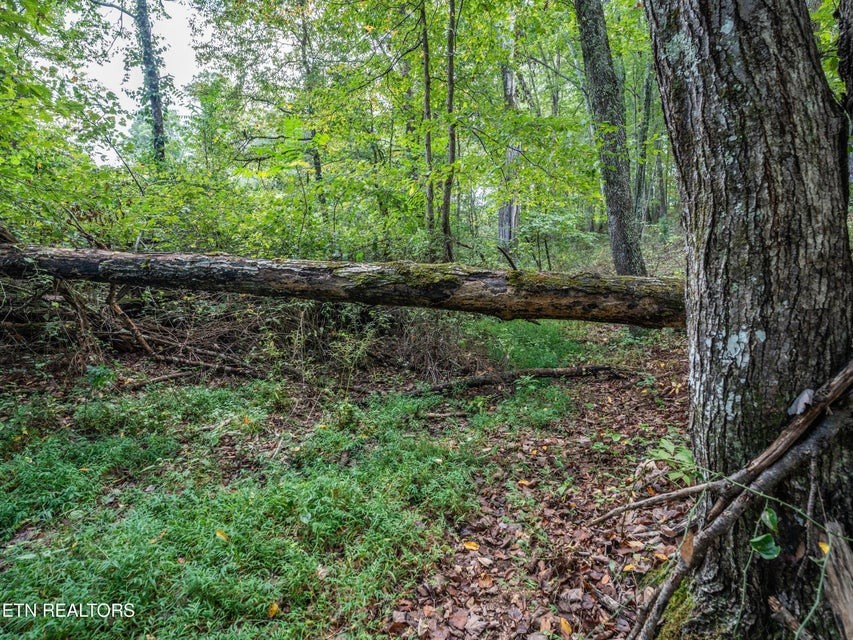 1079 York Road Crossville, TN 38555 - Photo 27 of 32 Gallery Image 27