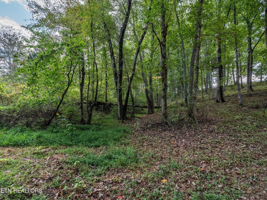 1079 York Road Crossville, TN 38555 - Photo 30 of 32 Gallery Image 30