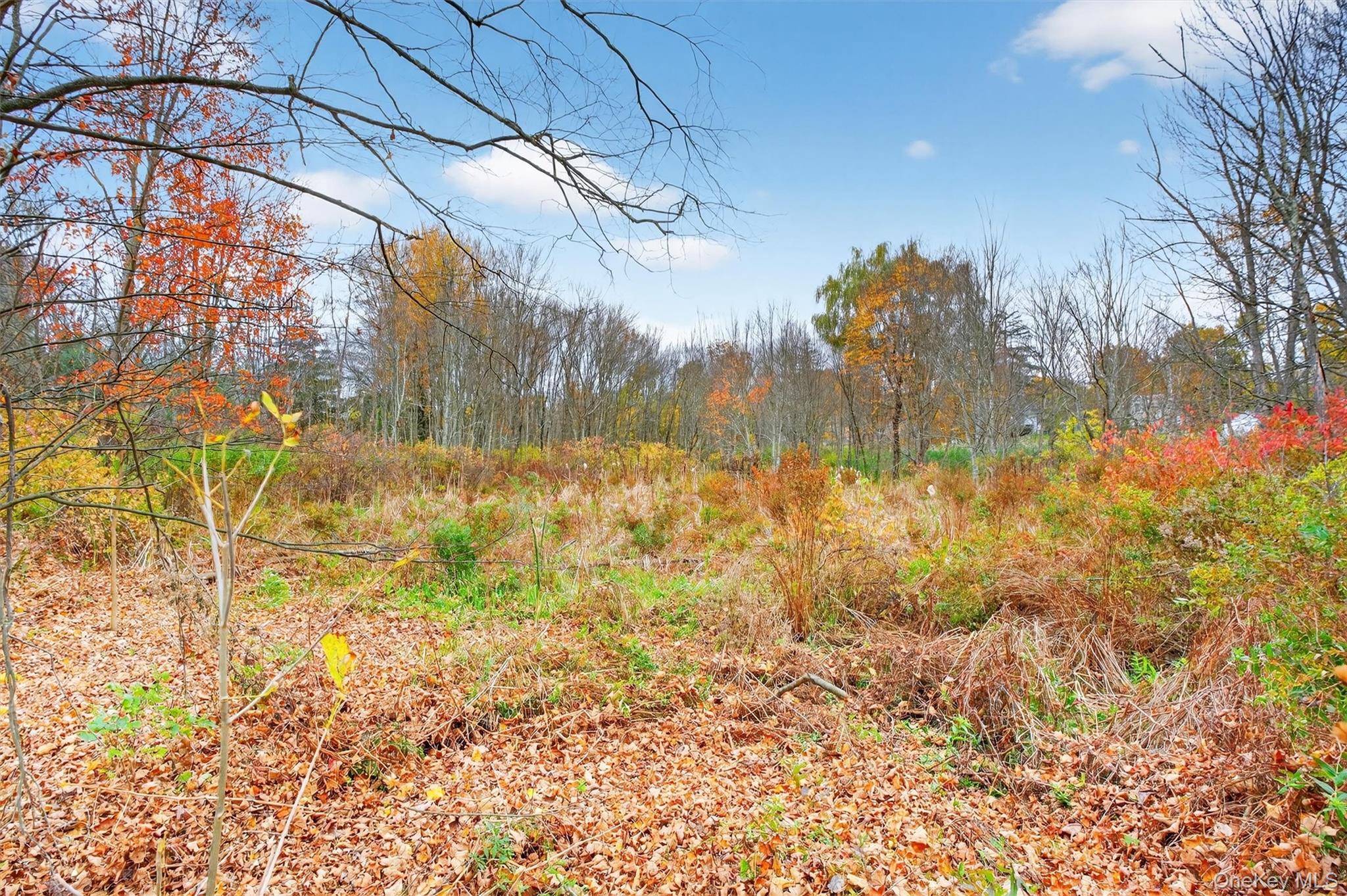 618 Salt Point Turnpike Poughkeepsie, NY 12601 - Photo 38 of 38