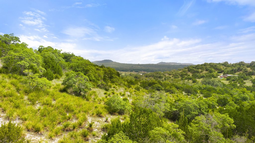 2126 Hidden Valley Ranch Road Johnson City, TX 78636 - Photo 5 of 36 A verdant panorama unfolds with rolling hills and lush tree cover under an expansive sky.
