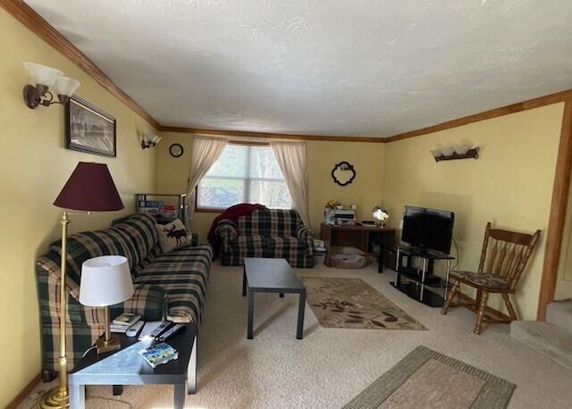8365 West Birch Road Roscommon, MI 48653 - Photo 3 of 12 Gallery Image 3