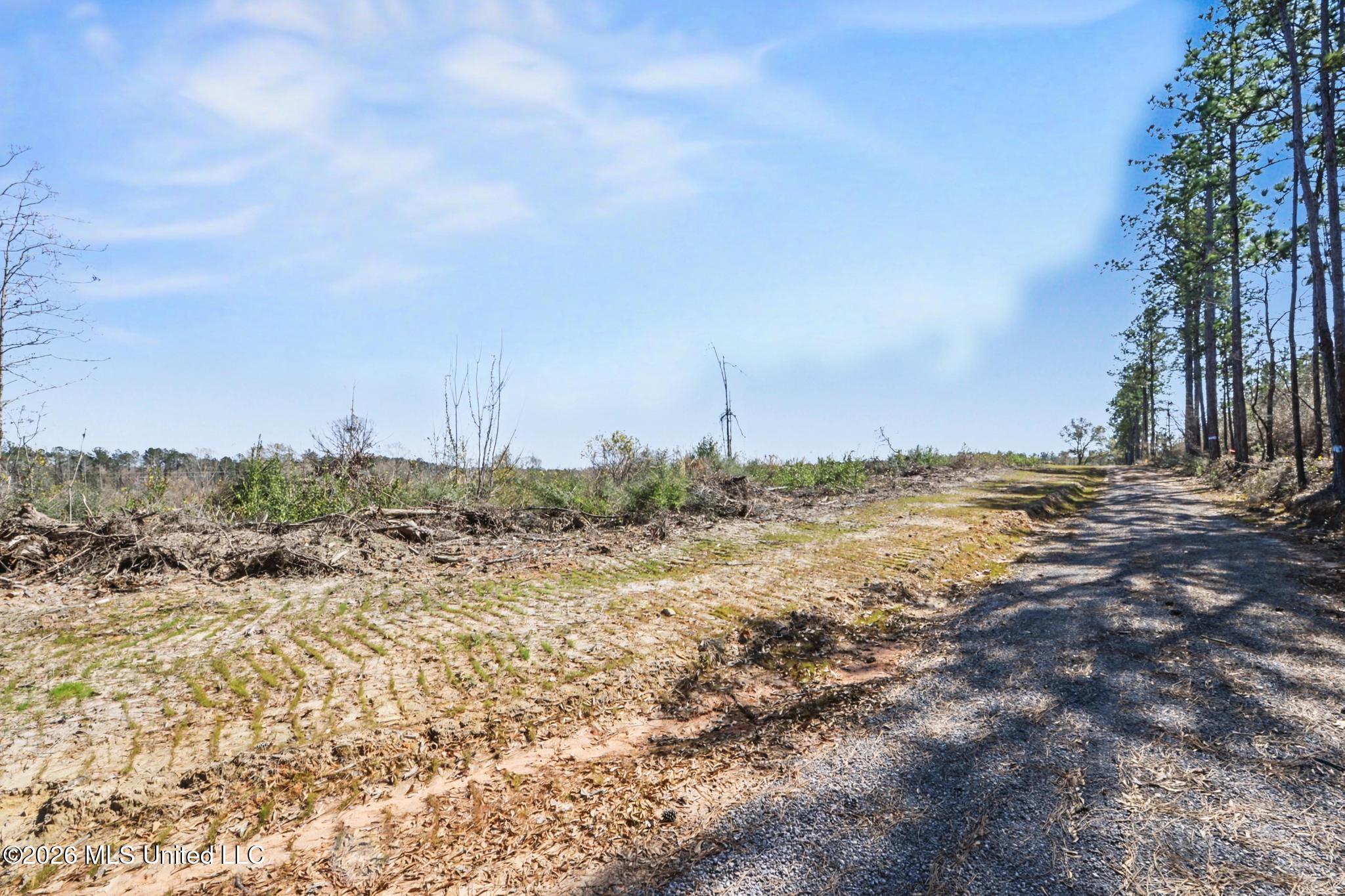 21.8-acres Flournoy Road Lucedale, MS 39452 - Photo 11 of 20 017