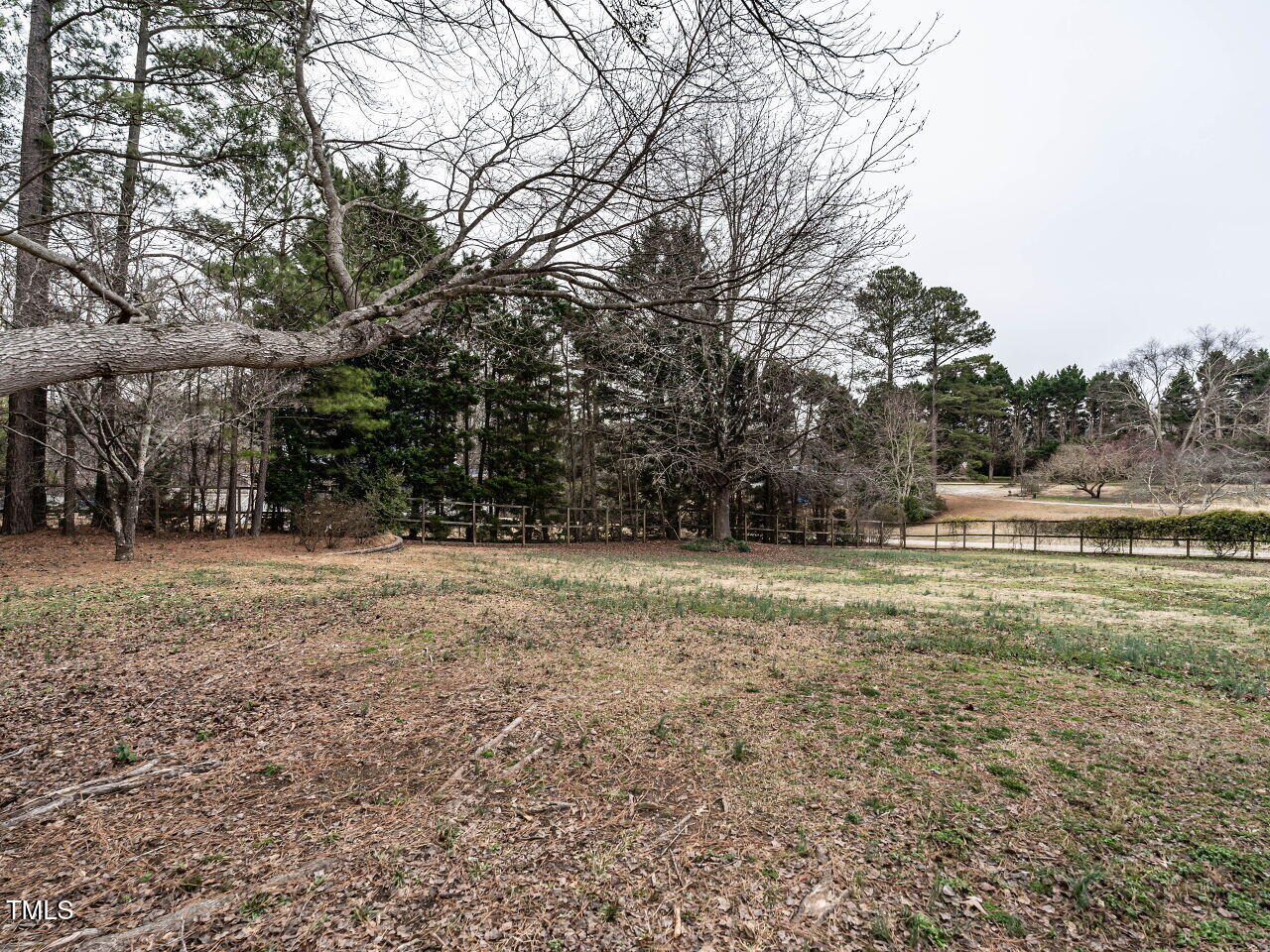 3117 Campbell Road Raleigh, NC 27606 - Photo 35 of 42 039-1280x960-backyard