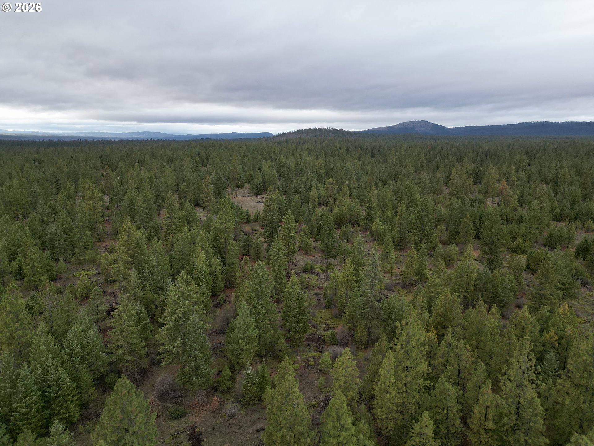 Ranger Road, Unit 1 Goldendale, WA 98620 - Photo 13 of 21