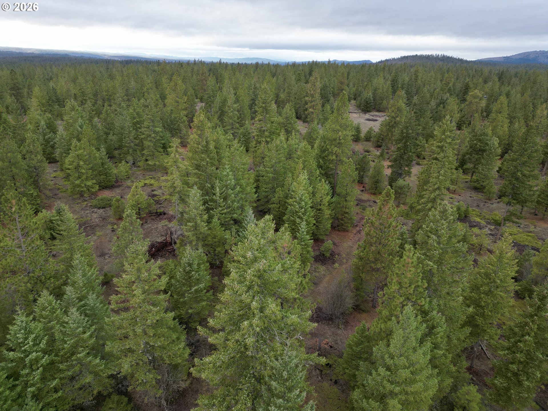 Ranger Road, Unit 1 Goldendale, WA 98620 - Photo 15 of 21