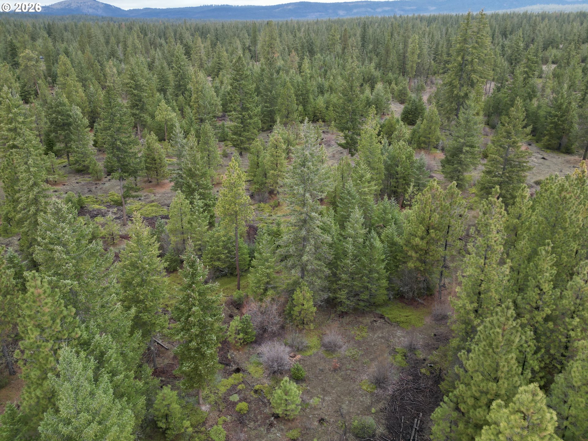 Ranger Road, Unit 1 Goldendale, WA 98620 - Photo 16 of 21