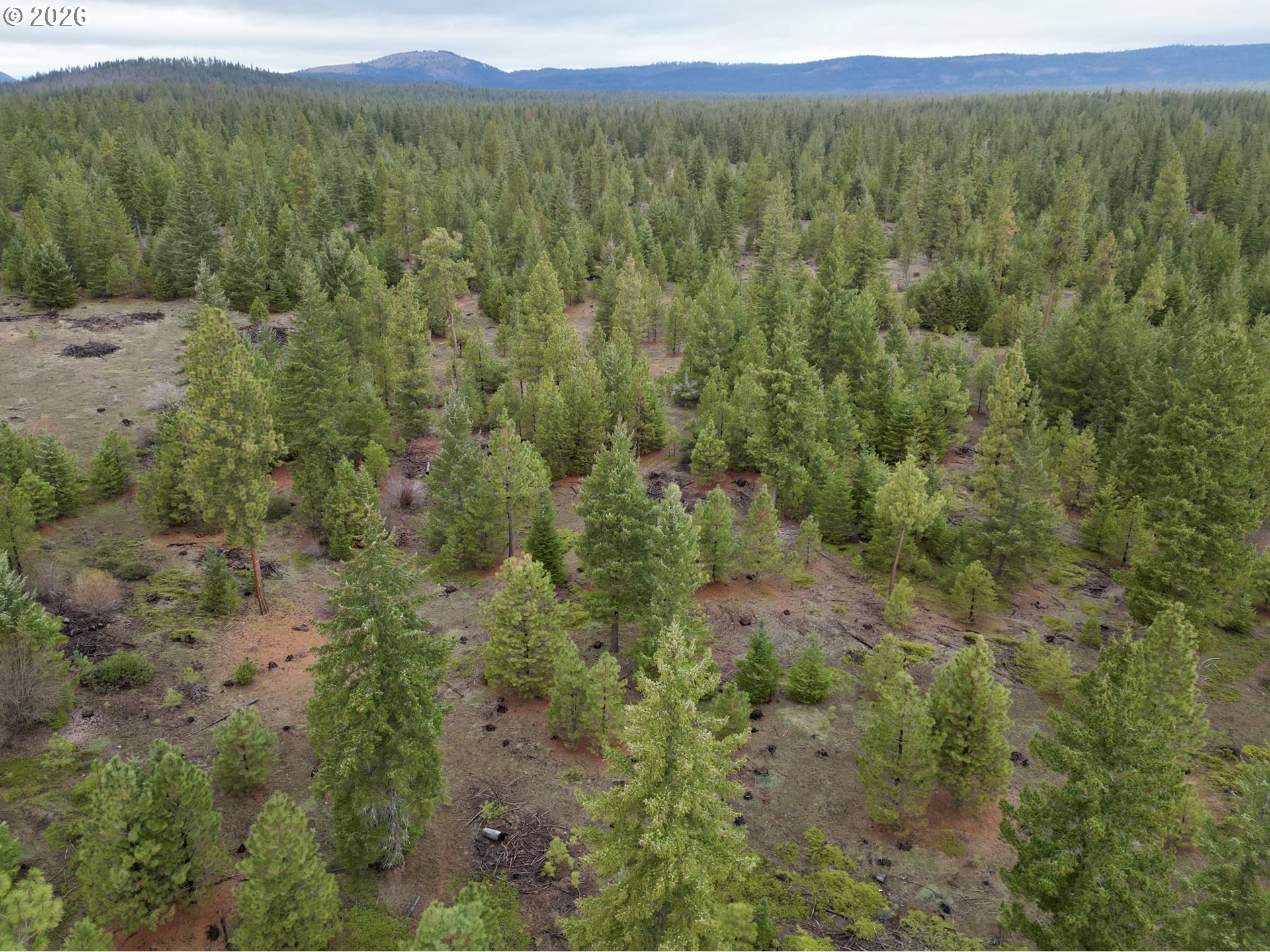 Ranger Road, Unit 1 Goldendale, WA 98620 - Photo 17 of 21