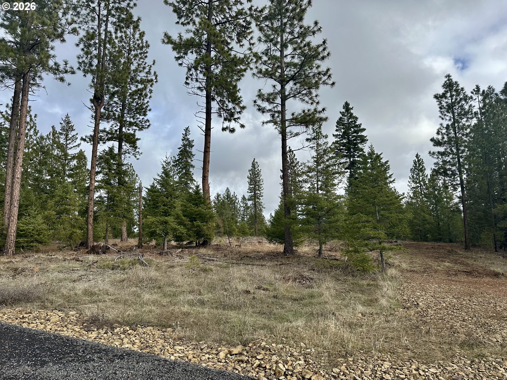 Ranger Road, Unit 1 Goldendale, WA 98620 - Photo 5 of 21