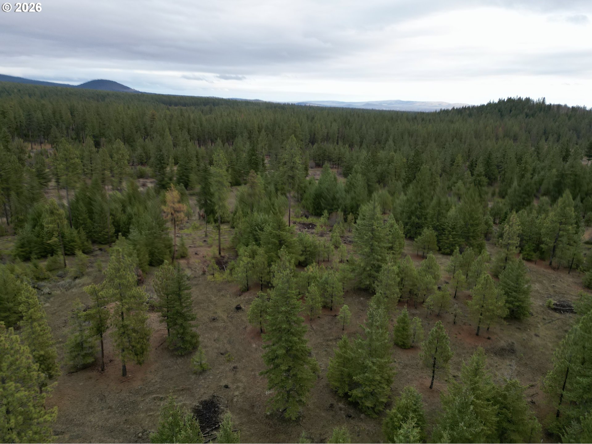 Ranger Road, Unit 1 Goldendale, WA 98620 - Photo 6 of 21