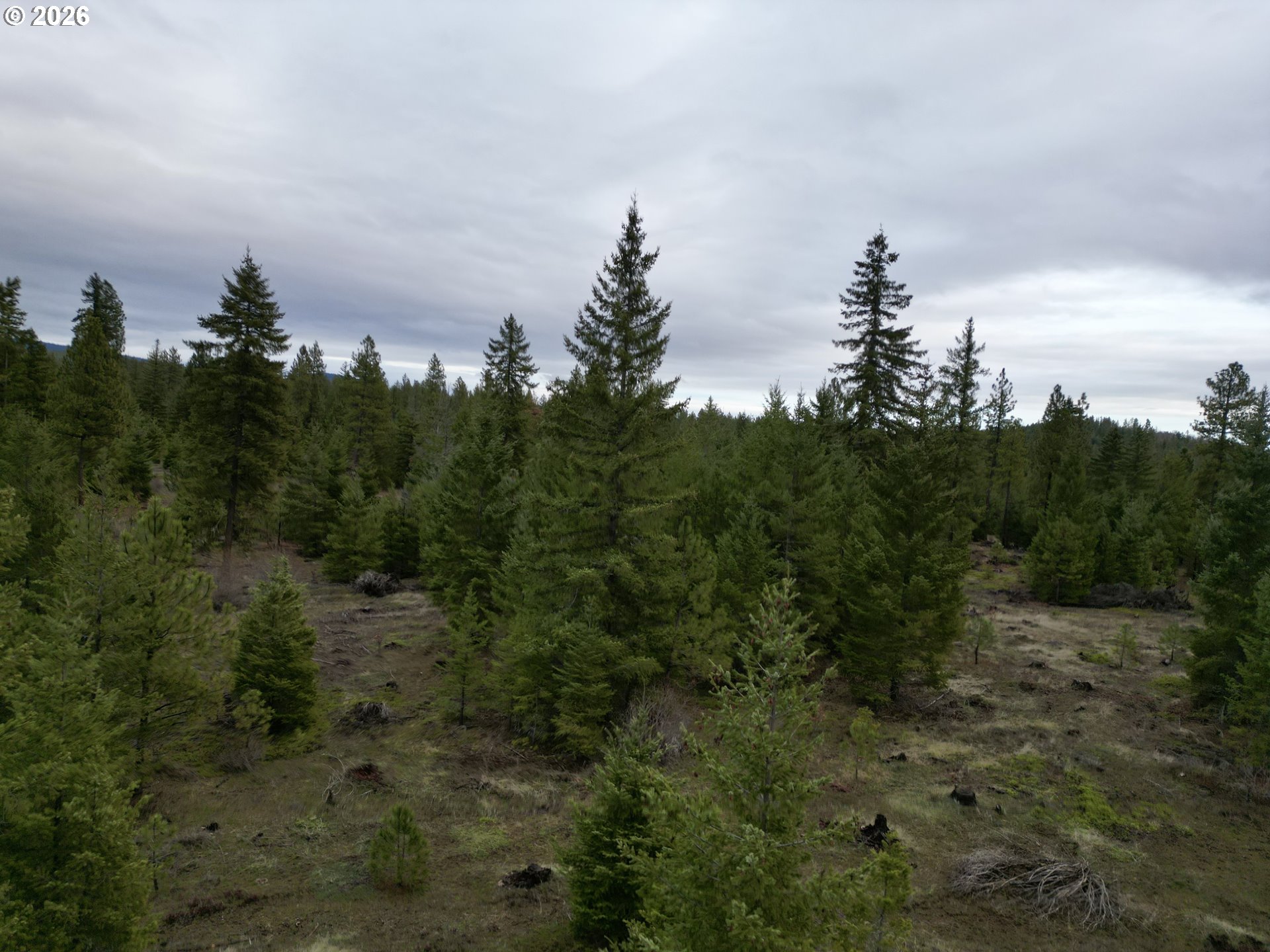 Ranger Road, Unit 1 Goldendale, WA 98620 - Photo 7 of 21