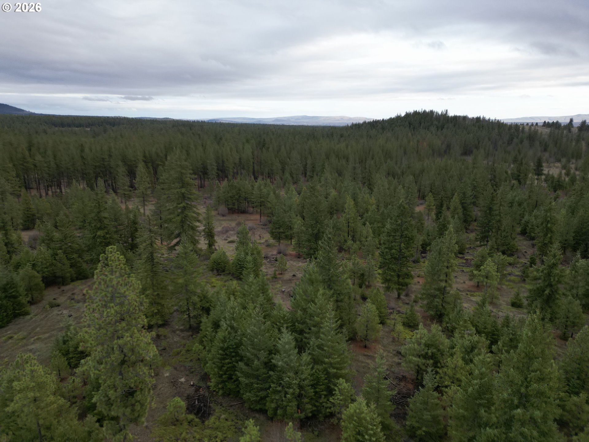 Ranger Road, Unit 1 Goldendale, WA 98620 - Photo 9 of 21