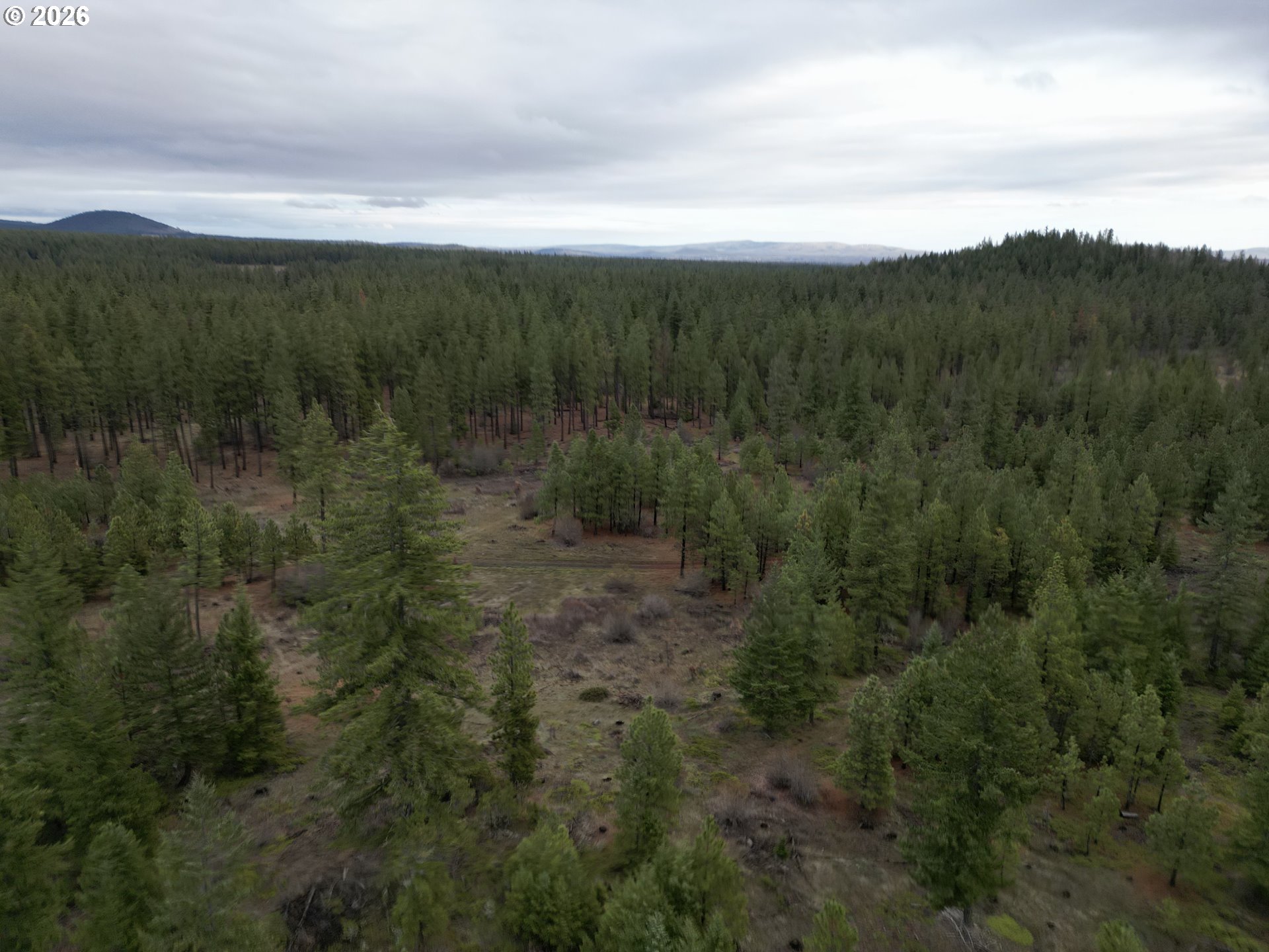 Ranger Road, Unit 1 Goldendale, WA 98620 - Photo 10 of 21