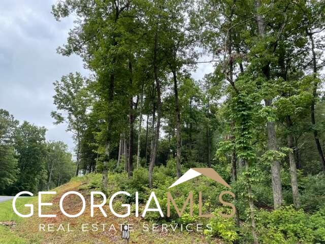 L100 High River Road, Unit 100 Ellijay, GA 30540 - Photo 1 of 1 Gallery Image 1