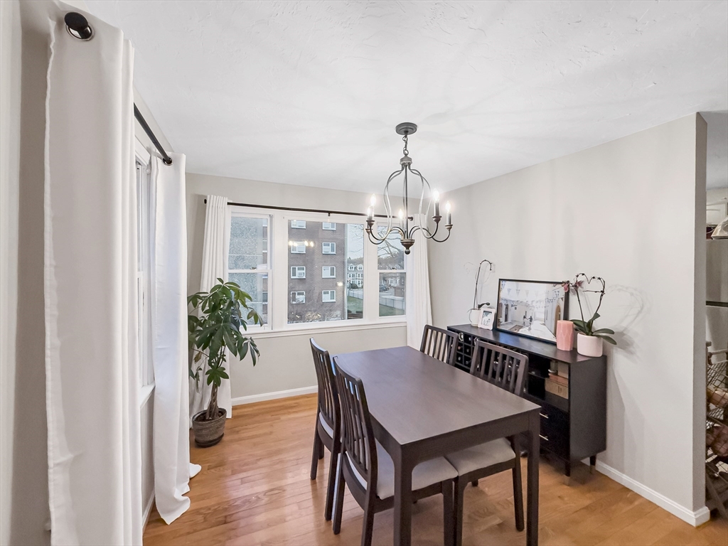 25 Rockland Street, Unit 7 Boston, MA 02119 - Photo 14 of 17