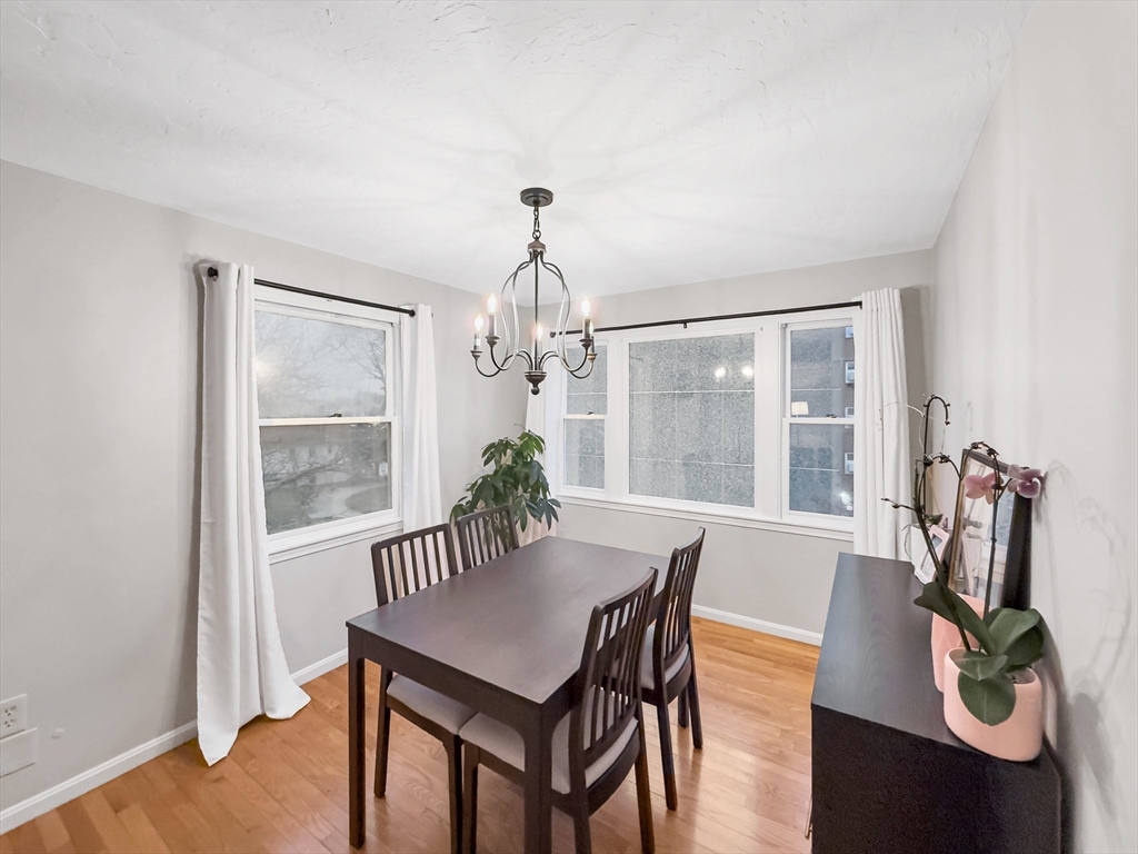 25 Rockland Street, Unit 7 Boston, MA 02119 - Photo 15 of 17