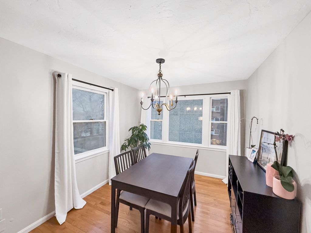25 Rockland Street, Unit 7 Boston, MA 02119 - Photo 16 of 17
