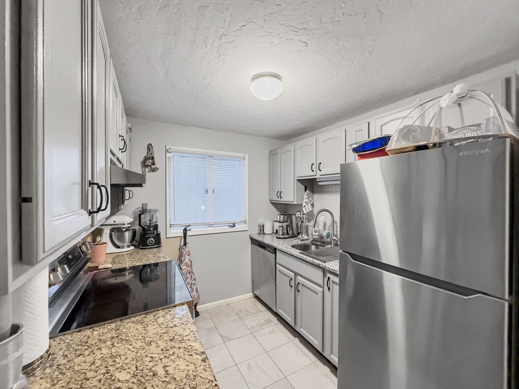 25 Rockland Street, Unit 7 Boston, MA 02119 - Photo 6 of 17