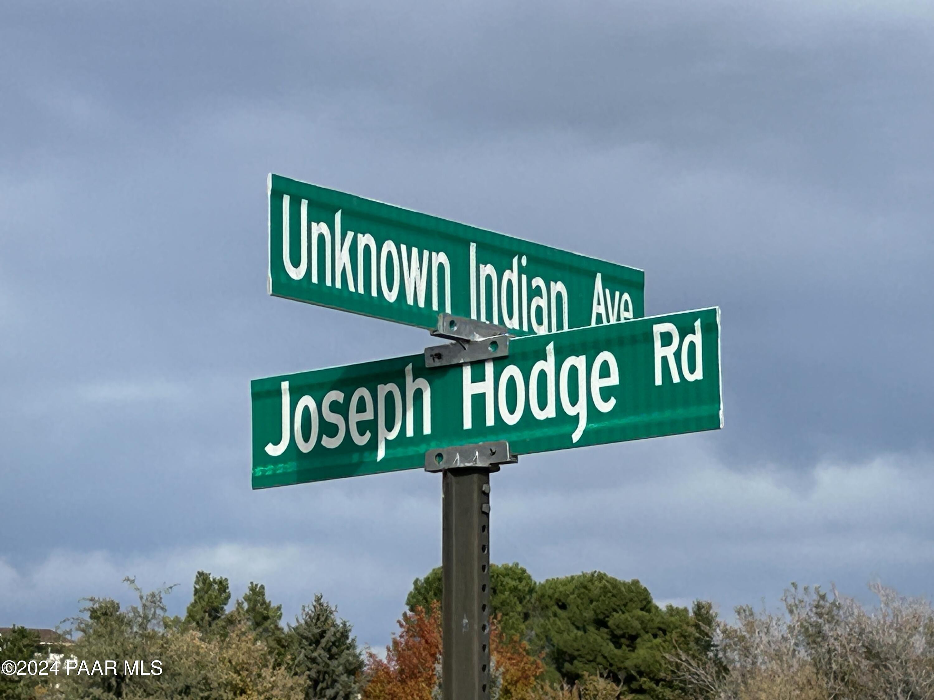 18671 Joseph Hodge Road Peeples Valley, AZ 86332 - Photo 4 of 9 IMG_2956