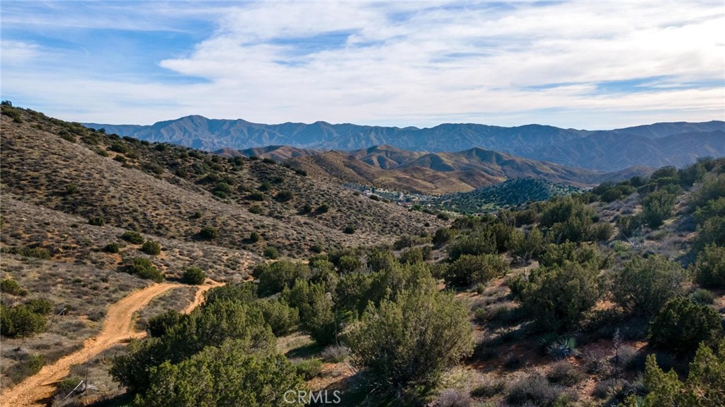 0 Hanawalt Road Agua Dulce, CA 91390 - Photo 24 of 38 Gallery Image 24